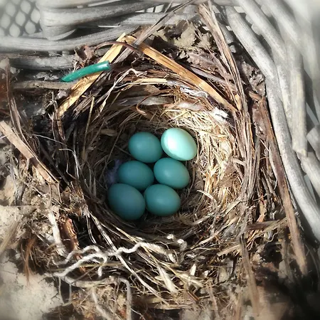 Cascina Luvot 3* Melazzo