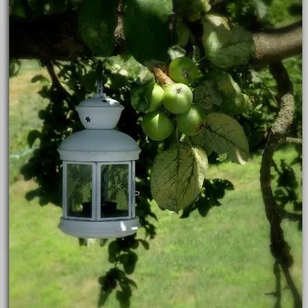 Cascina Luvot Melazzo