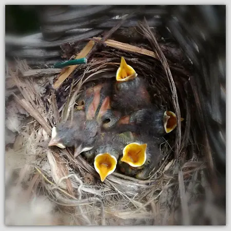 Bed & Breakfast Cascina Luvot Melazzo